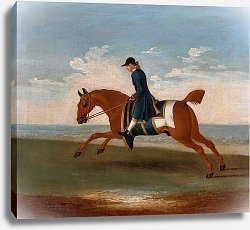 Постер Сеймур Джеймс One of Four Portraits of Horses - a Chestnut Racehorse Exercised by a Trainer in a Blue Coat 1730 Постер Сеймур Джеймс One of Four Portraits of Horses - a Chestnut Racehorse Exercised by a Trainer in a Blue Coat 1730