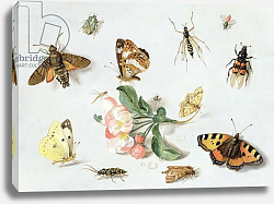 Постер Кессель Ян Butterflies, moths and other insects with a sprig of apple blossom Постер Кессель Ян Butterflies, moths and other insects with a sprig of apple blossom
