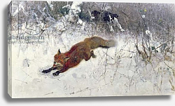 Постер Лильефорс Бруно Fox Being Chased through the Snow Постер Лильефорс Бруно Fox Being Chased through the Snow