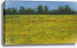 Постер Берн Алан (совр) Yellow Field with Poppies, 2002 Постер Берн Алан (совр) Yellow Field with Poppies, 2002