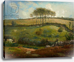 Постер Милле, Жан-Франсуа Pasture near Cherbourg, 1871-2 Постер Милле, Жан-Франсуа Pasture near Cherbourg, 1871-2