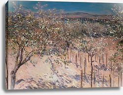 Постер Кайботт Гюстав (Gustave Caillebotte) Orchard with Flowering Apple Trees, Colombes Постер Кайботт Гюстав (Gustave Caillebotte) Orchard with Flowering Apple Trees, Colombes