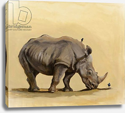 Постер Сандерс Франческа (совр) White rhino and starlings, 2012, Постер Сандерс Франческа (совр) White rhino and starlings, 2012,