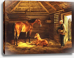 Постер English Mare With Her Foals, 1833 Постер English Mare With Her Foals, 1833