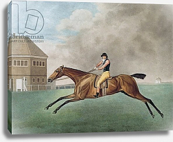 Постер Стаббс Джордж Baronet, 1794 Постер Стаббс Джордж Baronet, 1794