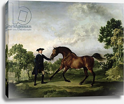 Постер Стаббс Джордж The Duke of Ancaster's bay stallion Постер Стаббс Джордж The Duke of Ancaster's bay stallion