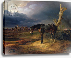 Постер Ownerless Horse on the Battlefield at Moshaisk in 1812, 1834 Постер Ownerless Horse on the Battlefield at Moshaisk in 1812, 1834