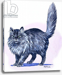 Постер Дэвис Р. (жив, дет) Persian Cat, from 'Treasure', 1966 Постер Дэвис Р. (жив, дет) Persian Cat, from 'Treasure', 1966