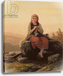 Постер Бремен Мейер Young Girl Knitting, 19th century Постер Бремен Мейер Young Girl Knitting, 19th century