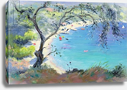 Постер Дюрхем Энн (совр) Lichnos Bay, Epirus, Greece, 1995 Постер Дюрхем Энн (совр) Lichnos Bay, Epirus, Greece, 1995