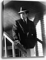 Постер Bogart, Humphrey (Maltese Falcon, The) 2 Постер Bogart, Humphrey (Maltese Falcon, The) 2