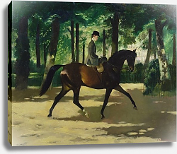 Постер Зинкайзен Дорис Janet Johnstone exercising in Rotten Row, London Постер Зинкайзен Дорис Janet Johnstone exercising in Rotten Row, London