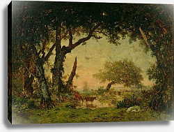 Постер Руссо Теодор The Edge of the Forest at Fontainebleau, Setting Sun, 1850-51 Постер Руссо Теодор The Edge of the Forest at Fontainebleau, Setting Sun, 1850-51