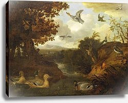 Постер Барлоу Франсис Ducks and other birds about a stream in an Italianate landscape, 1671 Постер Барлоу Франсис Ducks and other birds about a stream in an Italianate landscape, 1671