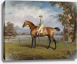 Постер Гаррад Джордж Portrait of a Racehorse Possibly Disguise with Jockey Up Постер Гаррад Джордж Portrait of a Racehorse Possibly Disguise with Jockey Up