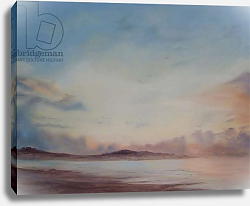 Постер Миятт Антония Instow Beach, Separation of the tide, 2014 Постер Миятт Антония Instow Beach, Separation of the tide, 2014