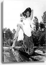 Постер Loren, Sophia (Miller's Beautiful Wife, The) Постер Loren, Sophia (Miller's Beautiful Wife, The)