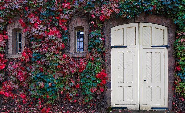 Белая дверь среди осенних листьев