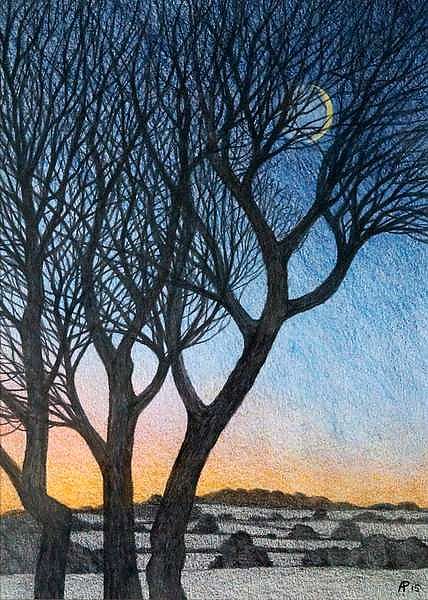 Trees and Moon, 2015