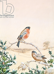 Постер Брайт Анри Winter scene with Chaffinch and Holly Постер Брайт Анри Winter scene with Chaffinch and Holly