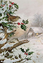 Постер Даннер Карл (совр) Wren in Hollybush by a cottage Постер Даннер Карл (совр) Wren in Hollybush by a cottage