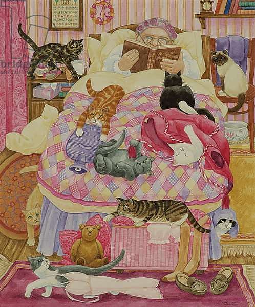 Grandma and 10 cats in the bedroom
