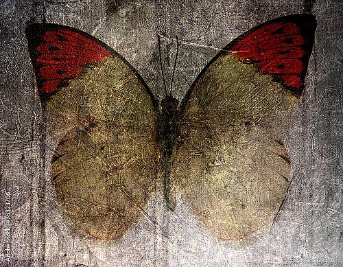 Жёлтая бабочка с красными крыльями на гранж текстуре