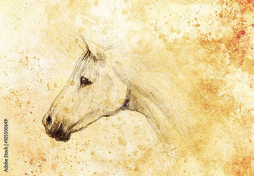 Рисунок лошади на старой бумаге