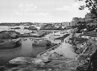 Черно-белое