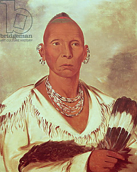Постер Кэтлин Джордж Portrait of Black Hawk, Indian Chief Постер Кэтлин Джордж Portrait of Black Hawk, Indian Chief