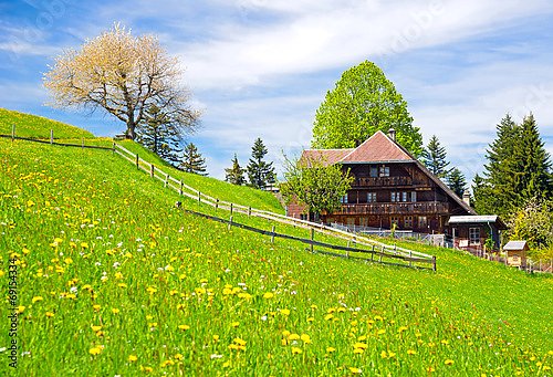 Швейцария. Пейзаж с горным шале