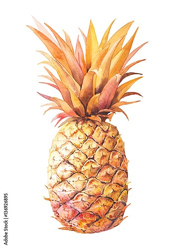 Постер Акварельный золотой ананас
