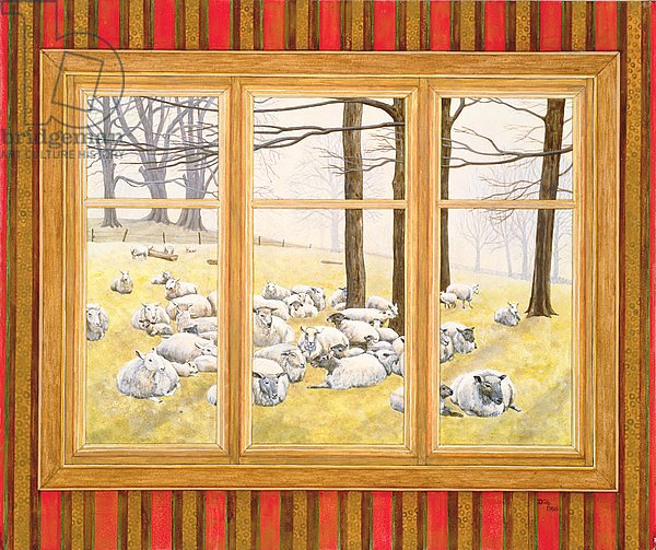 The Sheep Window
