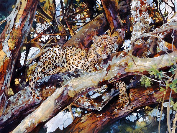 Kenyan Leopard, 1997