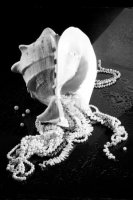 Черно-белое