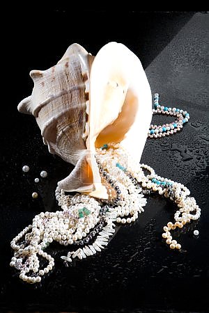 Украшения и раковина