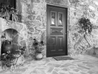 Черно-белое