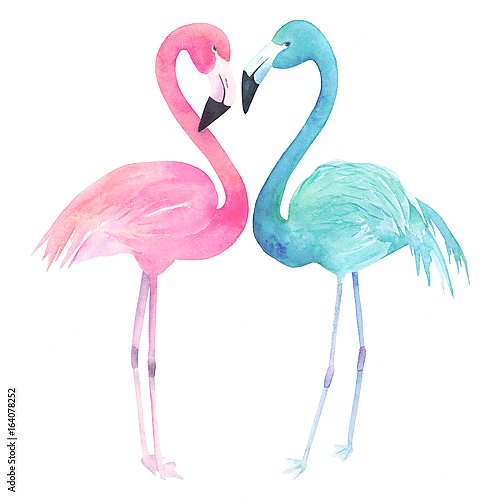 Два акварельных фламинго