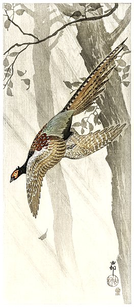 Летящий фазан (1900 - 1910)