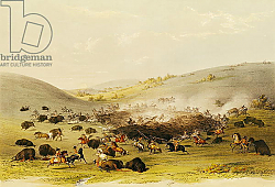 Постер Кэтлин Джордж Buffalo Hunt, Surround, c.1832 Постер Кэтлин Джордж Buffalo Hunt, Surround, c.1832