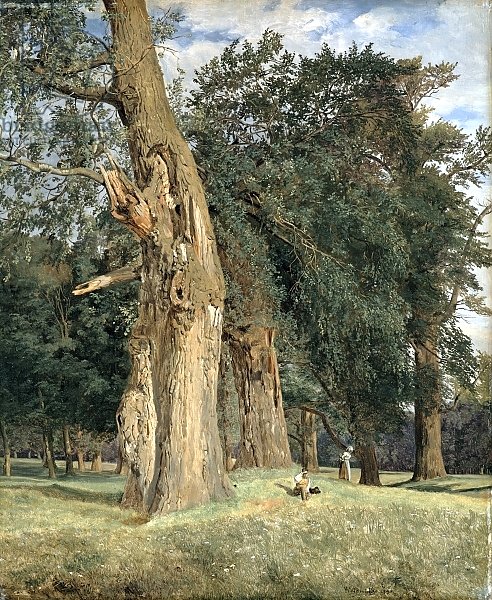 Old elms in Prater, 1831