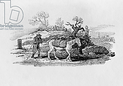 Постер Бевик Томас Geese carried to market from 'History of British Birds and Quadrupeds' Постер Бевик Томас Geese carried to market from 'History of British Birds and Quadrupeds'