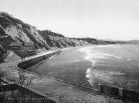 Черно-белое