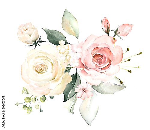Акварельная белая и розовая розы с бутонами
