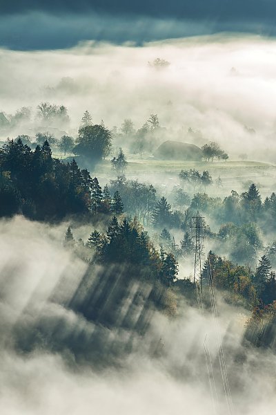 Леса и поля с фермами в густом тумане