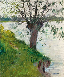 Постер Кайботт Гюстав (Gustave Caillebotte) Willow by the River; Saule au bord de la riviere, c. 1891 Постер Кайботт Гюстав (Gustave Caillebotte) Willow by the River; Saule au bord de la riviere, c. 1891