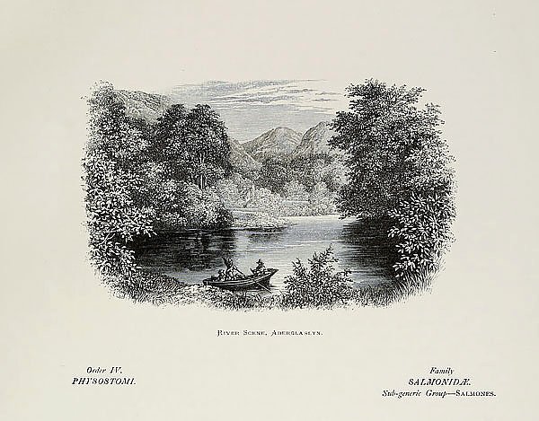 River scene, Aberglaslyn