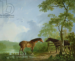 Постер Гилпин Соури (лошади) Mare and Stallion in a Landscape Постер Гилпин Соури (лошади) Mare and Stallion in a Landscape