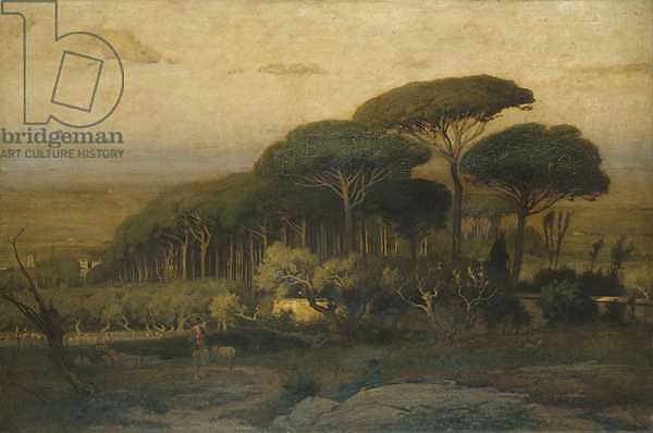 Pine Grove of the Barberini Villa, 1876