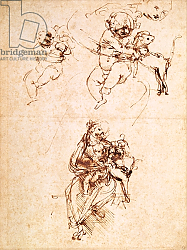 Постер Леонардо да Винчи (Leonardo da Vinci) Studies for a Madonna with a Cat, c.1478-80 Постер Леонардо да Винчи (Leonardo da Vinci) Studies for a Madonna with a Cat, c.1478-80